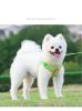 Reflective Harness & Leash Set for Everyday Walks