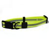 Reflective Waterproof Leash & Collar Set