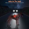 Rechargeable LED Light-Up No-Pull Harness