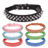 Spiked Studded Leather Collar