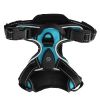Rechargeable LED Light-Up No-Pull Harness