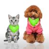 Bandana Collar with Triangle Scarf