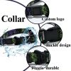 Graffiti Splash Waterproof Collar & Leash Set