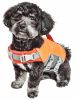 Tidal Guard Reflective Dog Life Jacket