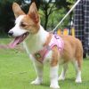 No-Pull Reflective Harness & Leash Set