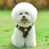 No-Pull Reflective Harness & Leash Set