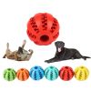 Squeaky Fetch Ball