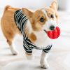 Squeaky Fetch Ball