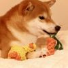 Duck & Carrot Rope Tug Toy