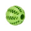 Squeaky Fetch Ball