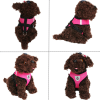 Reflective Adjustable Dog Harness