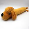 Squeaky Plush Chew Toy
