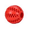 Squeaky Fetch Ball