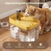 Compact Quiet Water Fountain for Pups