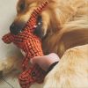 Squeaky Stuffed Dinosaur Chew Toy