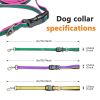Six-in-One Hands-Free Dog Leash