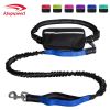 Hands-Free Bungee Leash with Zipper Pouch