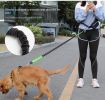 Hands-Free Bungee Leash with Zipper Pouch