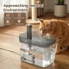 Compact Quiet Water Fountain for Pups