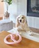 Fly Away Mint Fetch Toy