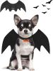 Bat Wings Halloween Costume for Dogs