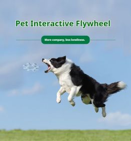 Interactive Silicone Flywheel Toy (Color: Macaroon Green)