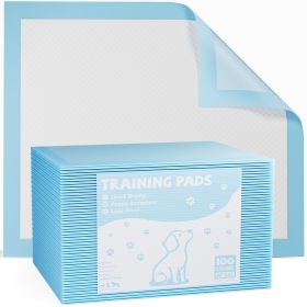 Quick-Dry Disposable Training Pads – Leak-Proof (Option: Big30 pieces)