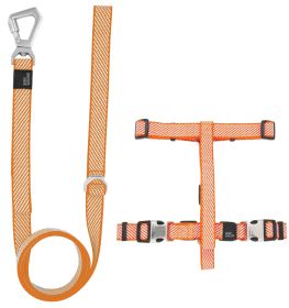Convertible 2-in-1 Harness and Leash – Outdoor Series (Color: Orange, size: small)